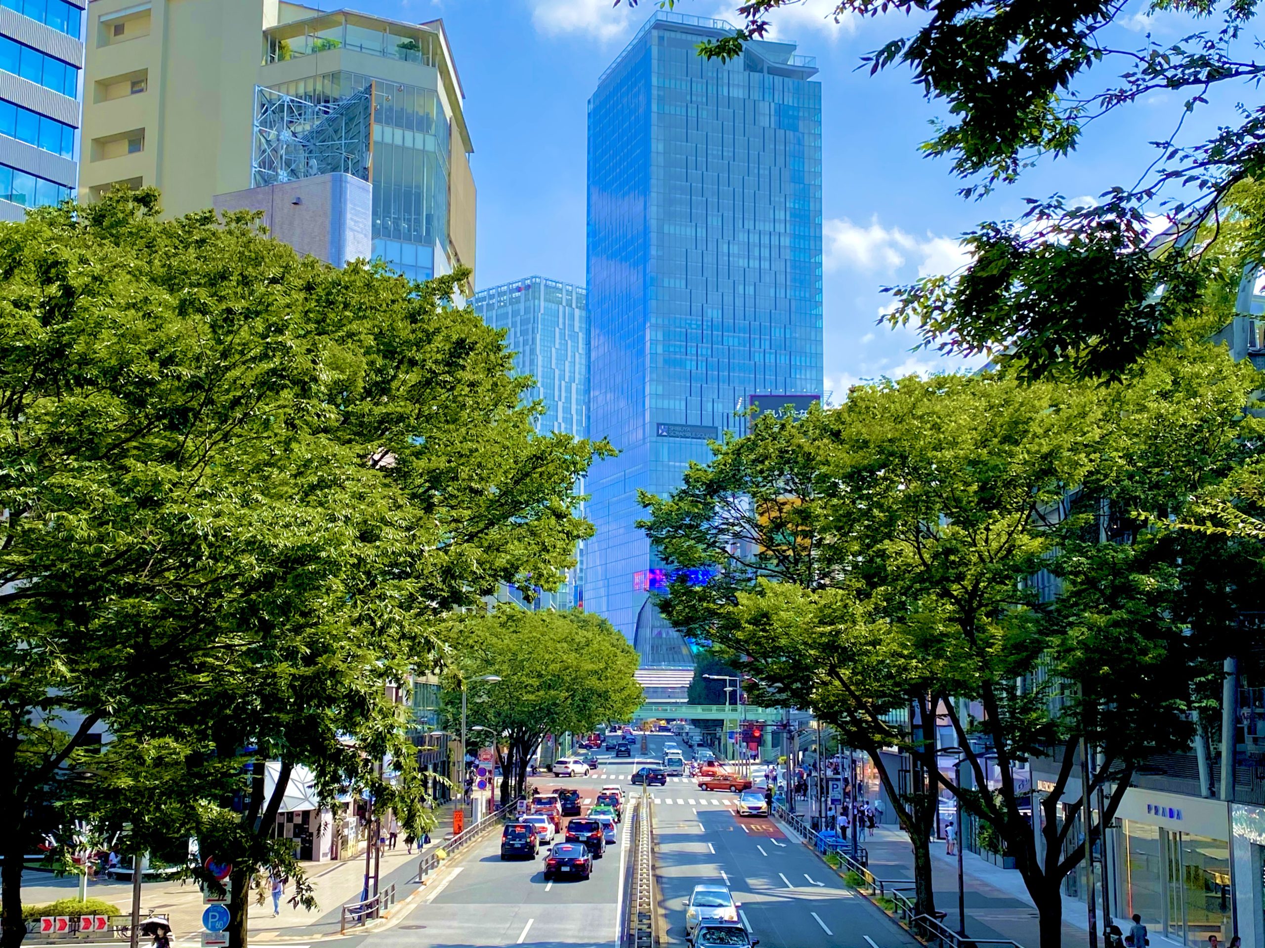 プログラミング パソコン作業 におすすめのカフェ 渋谷編 年間300回カフェ訪問のエンジニア厳選